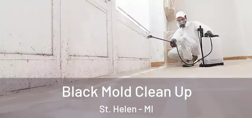  Black Mold Clean Up St. Helen - MI