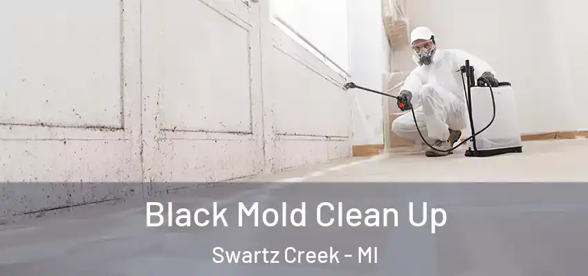  Black Mold Clean Up Swartz Creek - MI