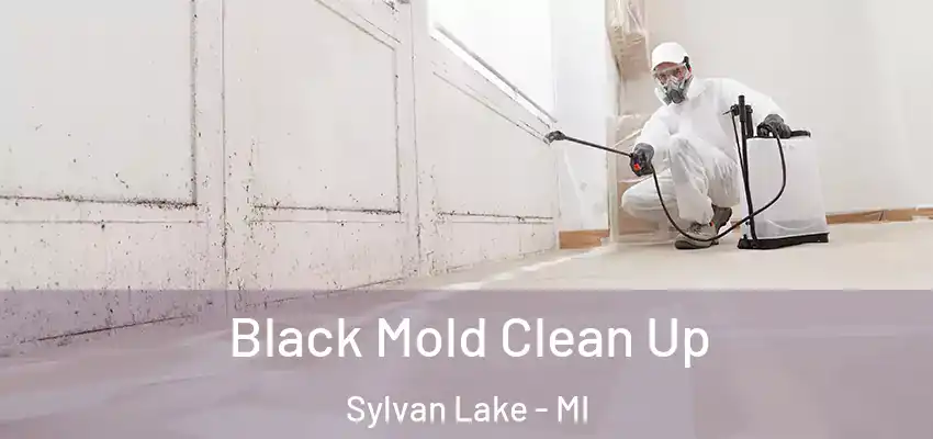 Black Mold Clean Up Sylvan Lake - MI