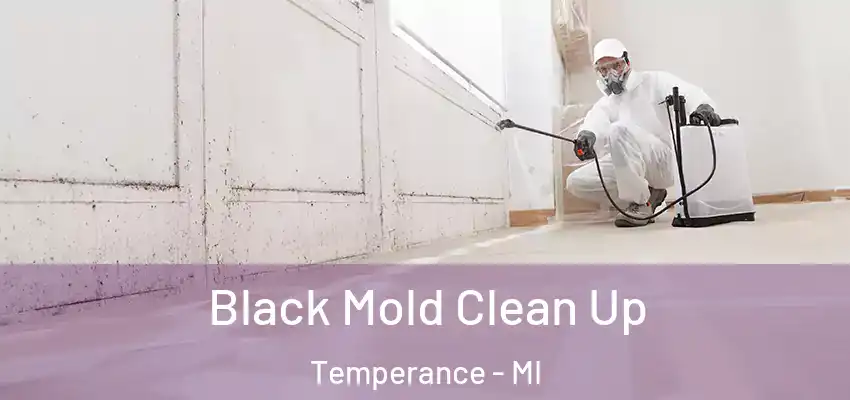  Black Mold Clean Up Temperance - MI