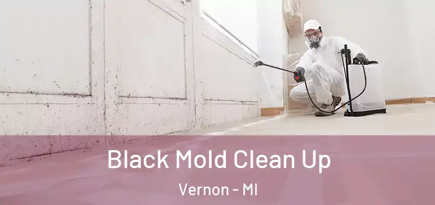  Black Mold Clean Up Vernon - MI
