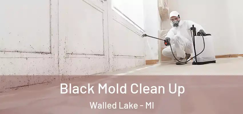  Black Mold Clean Up Walled Lake - MI