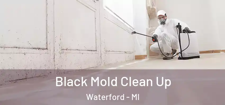  Black Mold Clean Up Waterford - MI