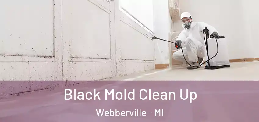  Black Mold Clean Up Webberville - MI