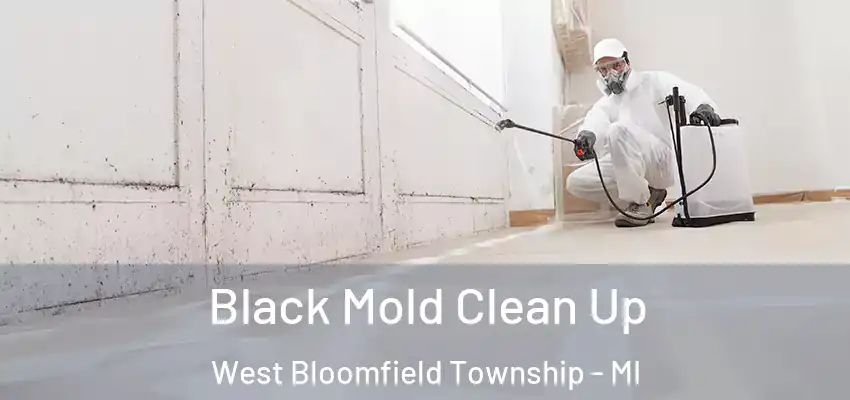  Black Mold Clean Up West Bloomfield Township - MI
