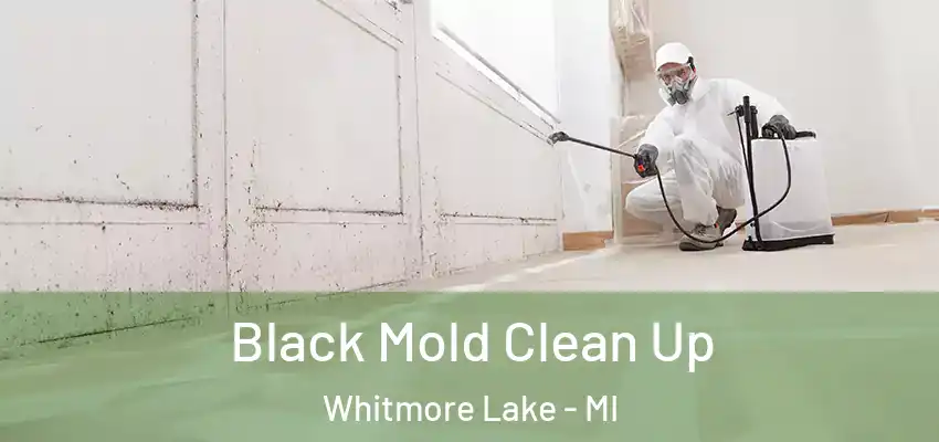  Black Mold Clean Up Whitmore Lake - MI