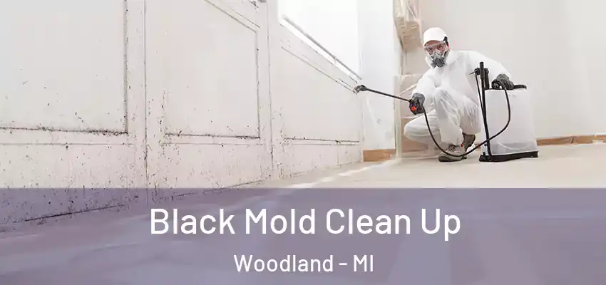  Black Mold Clean Up Woodland - MI