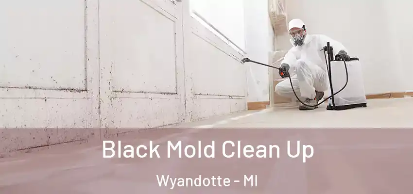  Black Mold Clean Up Wyandotte - MI