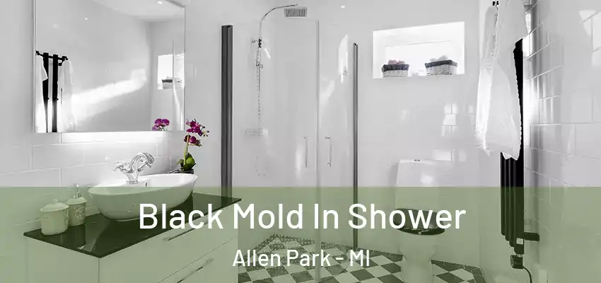 Black Mold In Shower Allen Park - MI