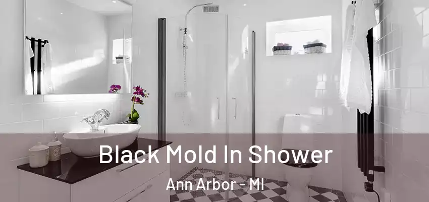  Black Mold In Shower Ann Arbor - MI
