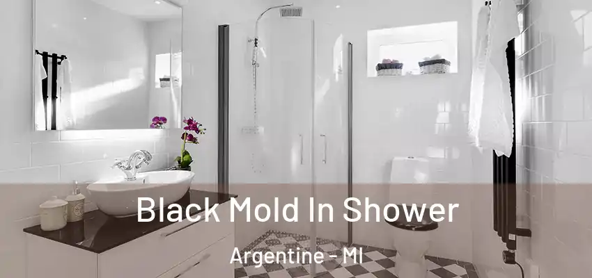Black Mold In Shower Argentine - MI