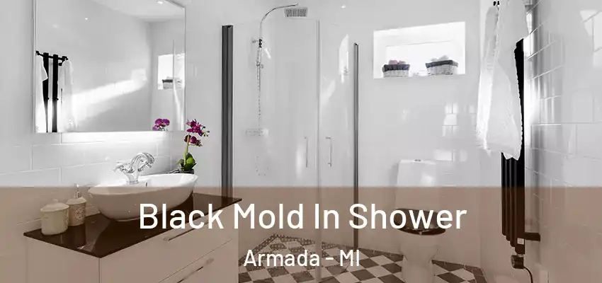  Black Mold In Shower Armada - MI