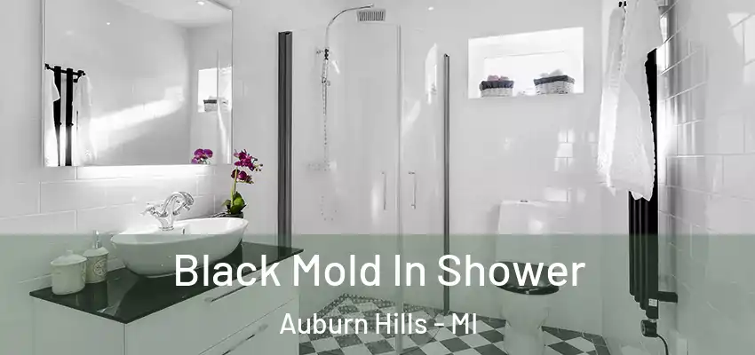  Black Mold In Shower Auburn Hills - MI