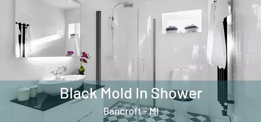  Black Mold In Shower Bancroft - MI
