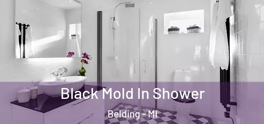  Black Mold In Shower Belding - MI