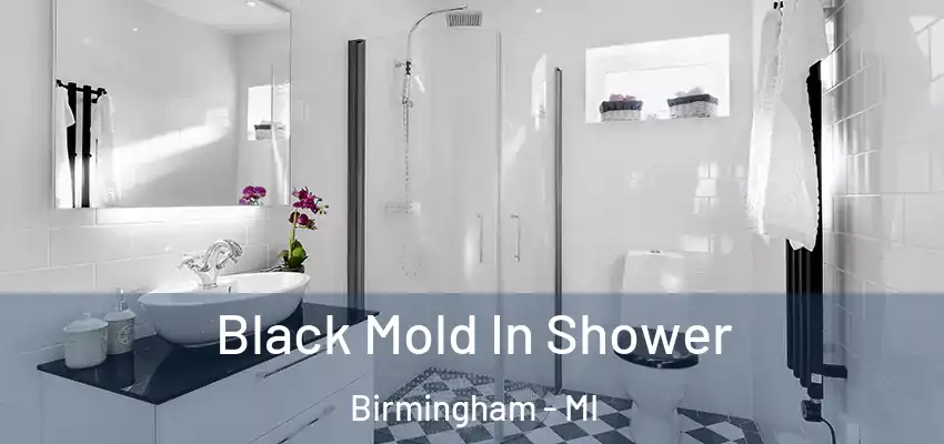  Black Mold In Shower Birmingham - MI