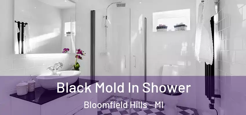  Black Mold In Shower Bloomfield Hills - MI