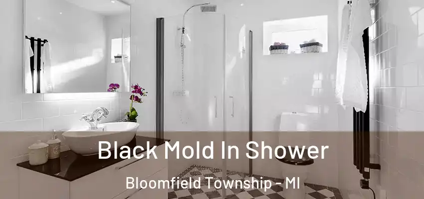 Black Mold In Shower Bloomfield Township - MI