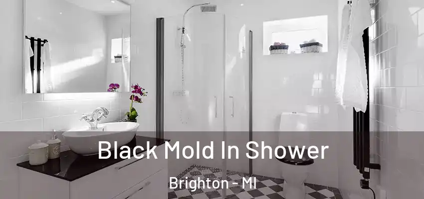 Black Mold In Shower Brighton - MI