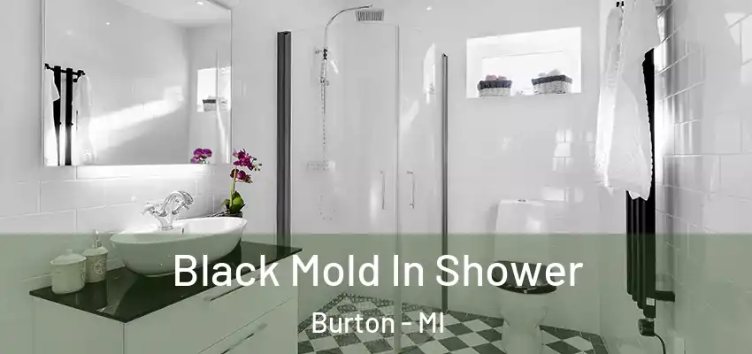 Black Mold In Shower Burton - MI