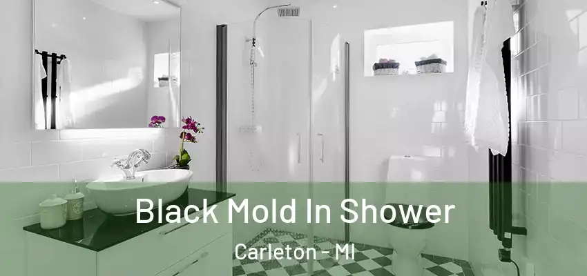  Black Mold In Shower Carleton - MI