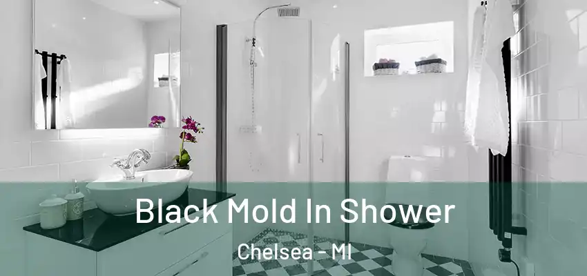  Black Mold In Shower Chelsea - MI