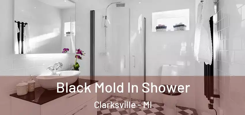 Black Mold In Shower Clarksville - MI