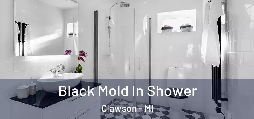  Black Mold In Shower Clawson - MI
