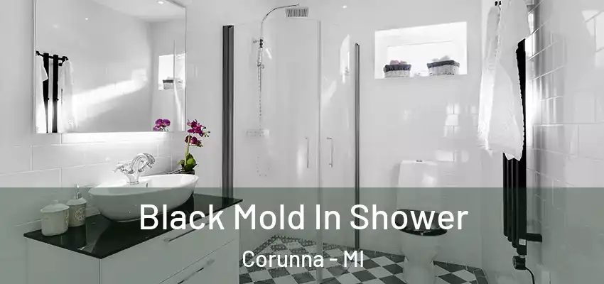  Black Mold In Shower Corunna - MI