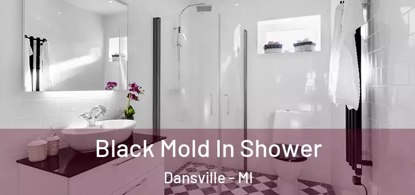 Black Mold In Shower Dansville - MI