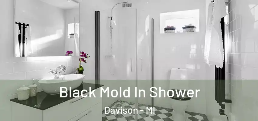  Black Mold In Shower Davison - MI