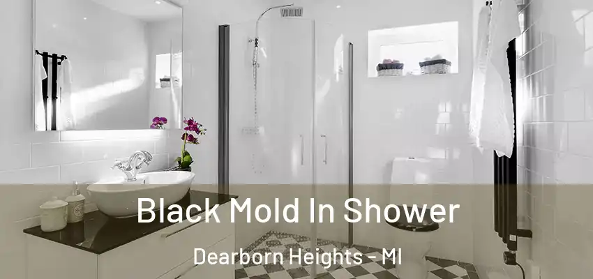 Black Mold In Shower Dearborn Heights - MI
