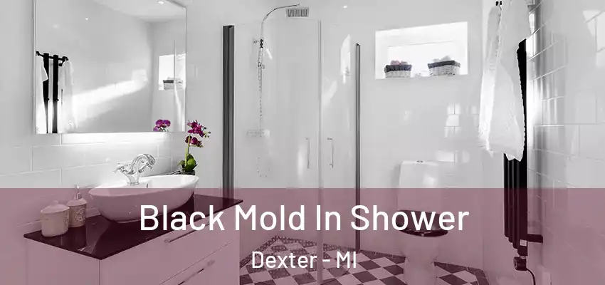  Black Mold In Shower Dexter - MI