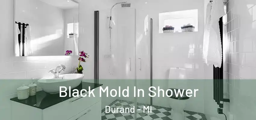  Black Mold In Shower Durand - MI