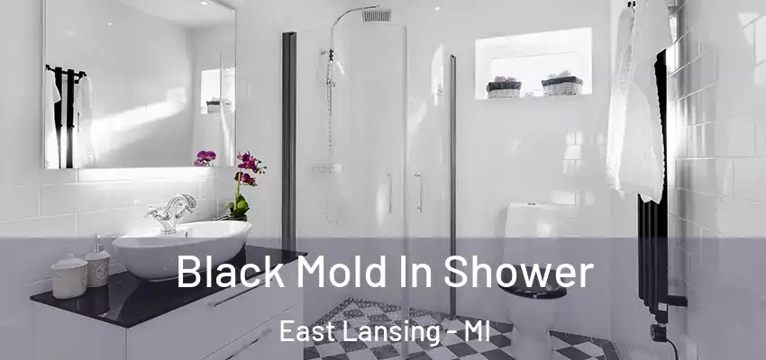  Black Mold In Shower East Lansing - MI