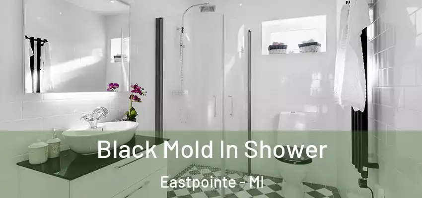 Black Mold In Shower Eastpointe - MI
