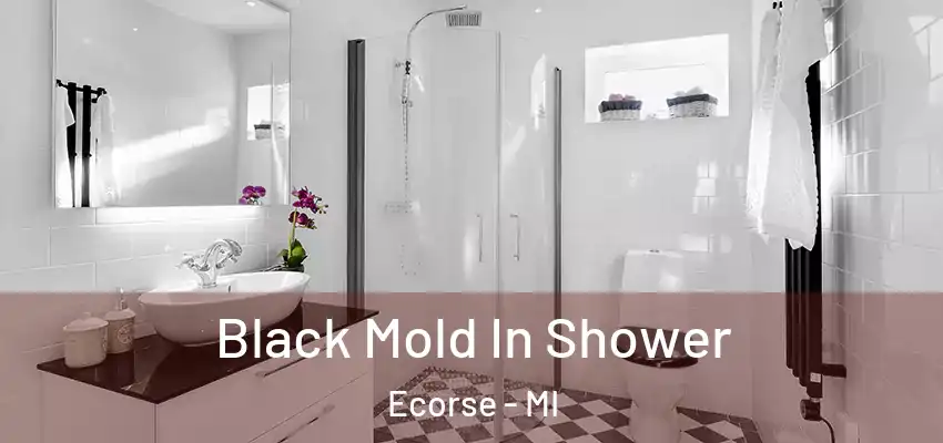 Black Mold In Shower Ecorse - MI