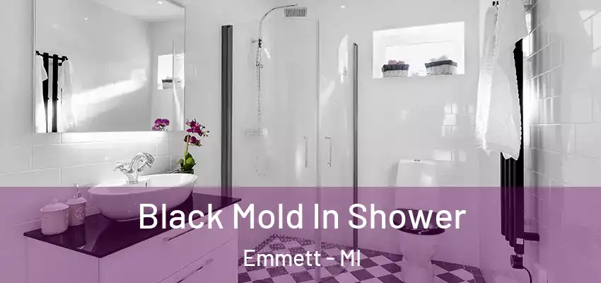  Black Mold In Shower Emmett - MI