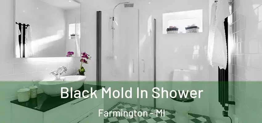  Black Mold In Shower Farmington - MI