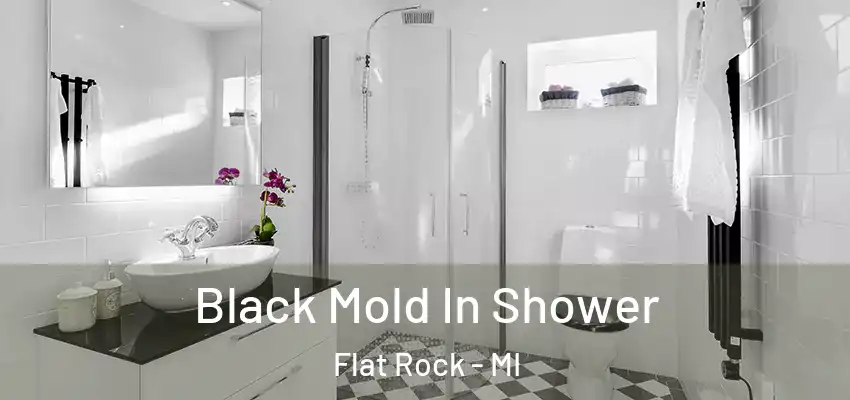  Black Mold In Shower Flat Rock - MI