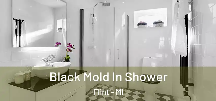  Black Mold In Shower Flint - MI