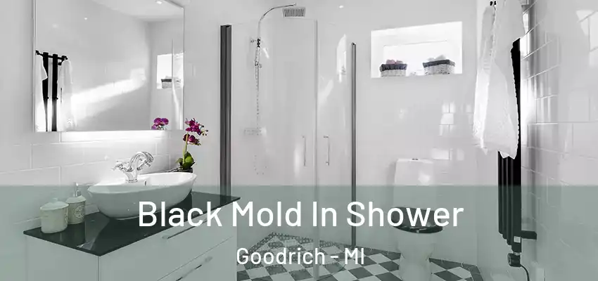 Black Mold In Shower Goodrich - MI