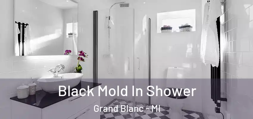  Black Mold In Shower Grand Blanc - MI