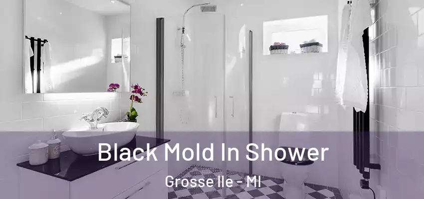  Black Mold In Shower Grosse Ile - MI