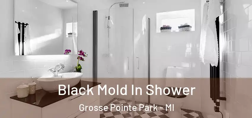 Black Mold In Shower Grosse Pointe Park - MI