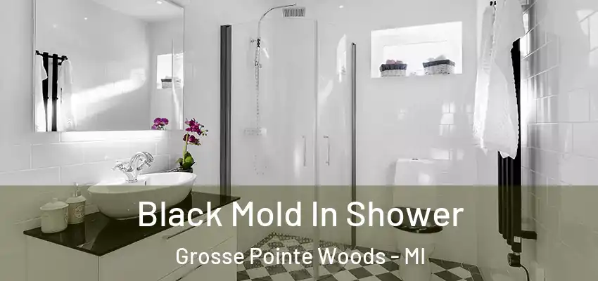  Black Mold In Shower Grosse Pointe Woods - MI