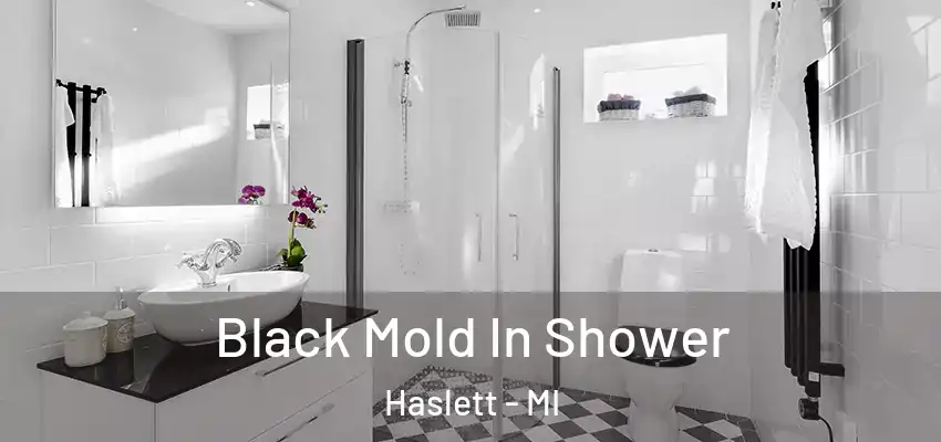  Black Mold In Shower Haslett - MI