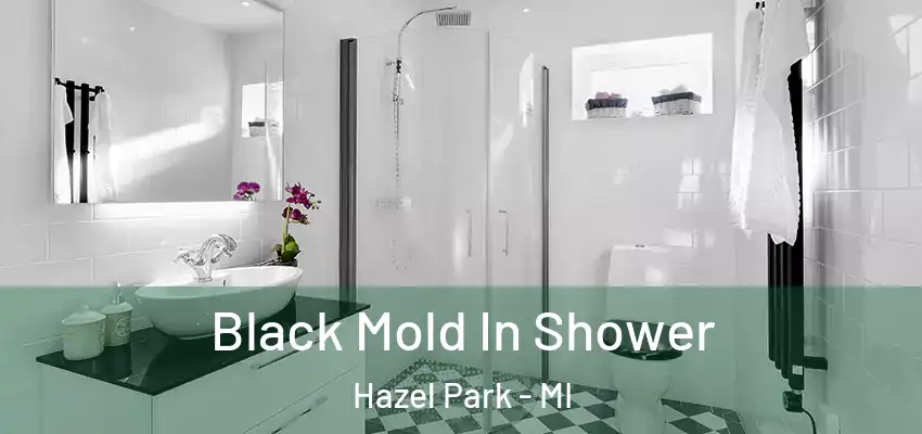 Black Mold In Shower Hazel Park - MI