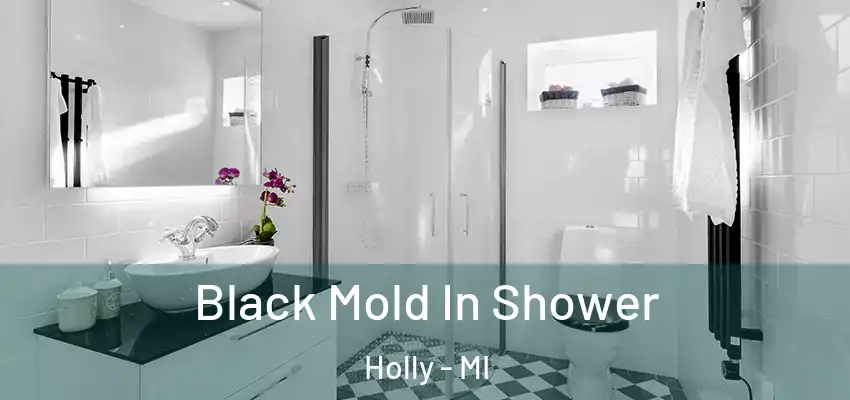  Black Mold In Shower Holly - MI