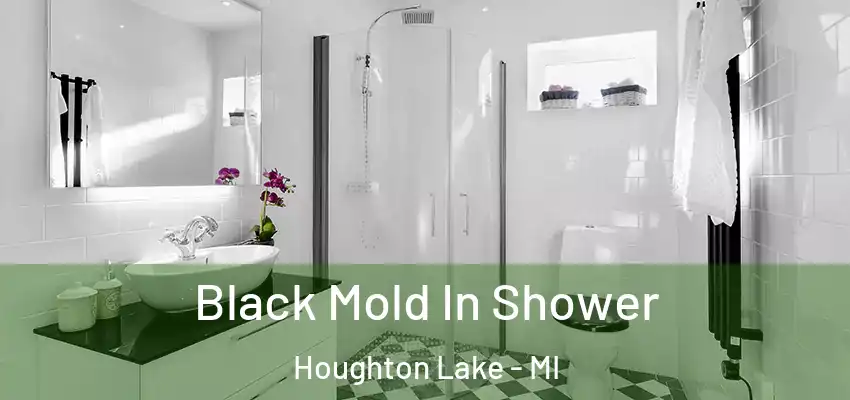  Black Mold In Shower Houghton Lake - MI